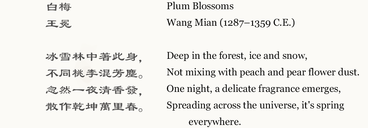 Plum Blossoms